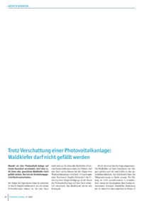 Dokument Trotz Verschattung einer Photovoltaikanlage: Waldkiefer darf nicht gef&auml;llt werden