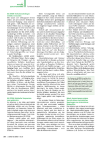 Dokument Termine & Medien