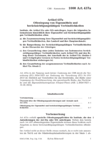 Dokument Artikel 437a Offenlegung von Eigenmitteln und ber&uuml;cksichtigungsf&auml;higen Verbindlichkeiten