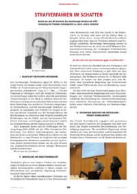 Dokument Strafverfahren im Schatten