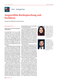 Dokument Schlaglicht 1: Datenschutzreform 2026: Entlastung auf welcher Ebene?
