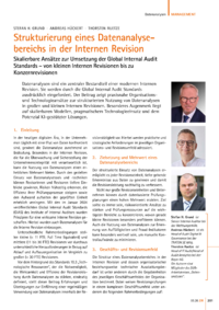 Dokument Strukturierung eines Datenanalysebereichs in der Internen Revision