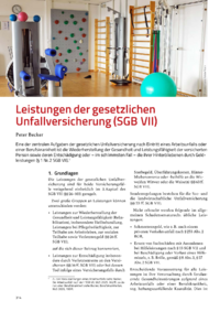 Dokument Leistungen der gesetzlichen Unfallversicherung (SGB VII)