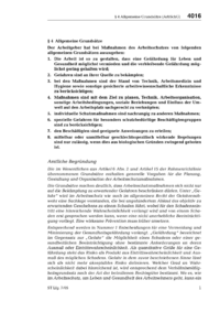 Dokument ArbSchG Erläuterungen: § 4 Allgemeine Grundsätze