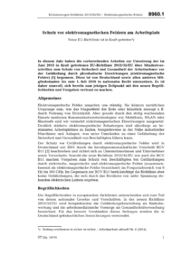 Dokument Schutz vor elektromagnetischen Feldern am Arbeitsplatz