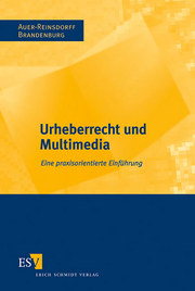 Urheberrecht und Multimedia &ndash; Eine praxisorientierte Einführung