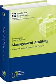 Management Auditing – Prüfung von Strategien, Systemen und Prozessen