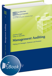 Management Auditing
