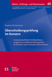 eBook Überschuldungsprüfung im Konzern