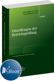 Einzelfragen der Betriebsprüfung