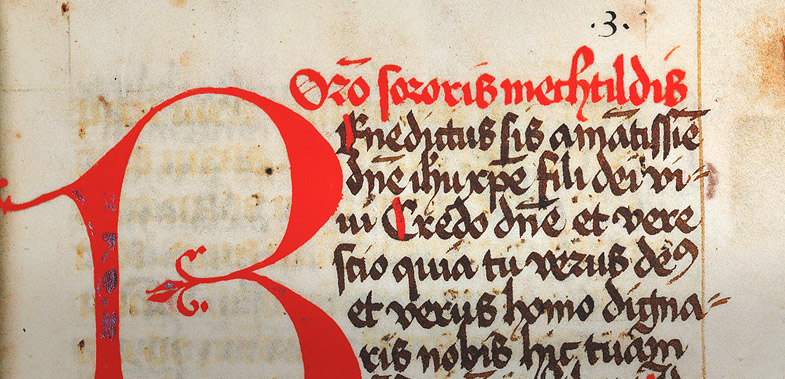 Bibliothek-Mann aus sagittarius woman