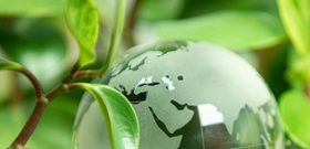 Praxisorientierte Ans&auml;tze f&uuml;r interne Kontrollen