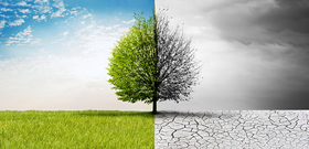 EU-Entwaldungsverordnung verschoben und abgeschw&auml;cht